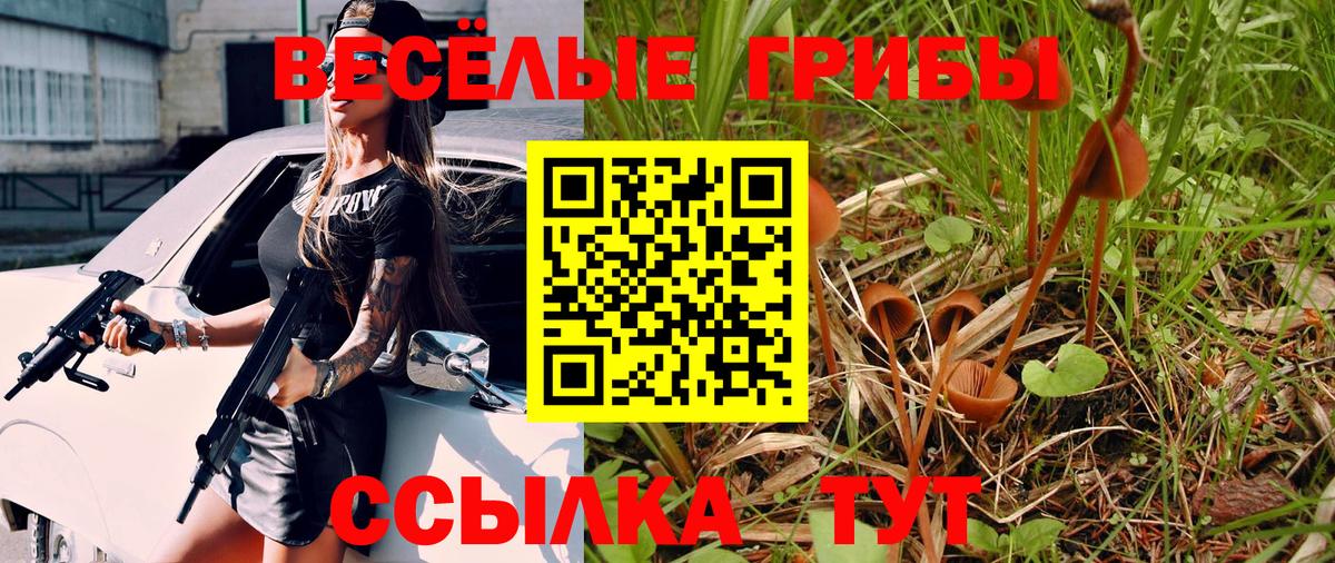 Псилоцибиновые грибы GOLDEN TEACHER Ейск